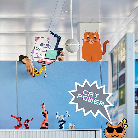 Warum Katzen besser digitalisieren als B2B-Unternehmen Katzen sind Profis im Digitalisieren